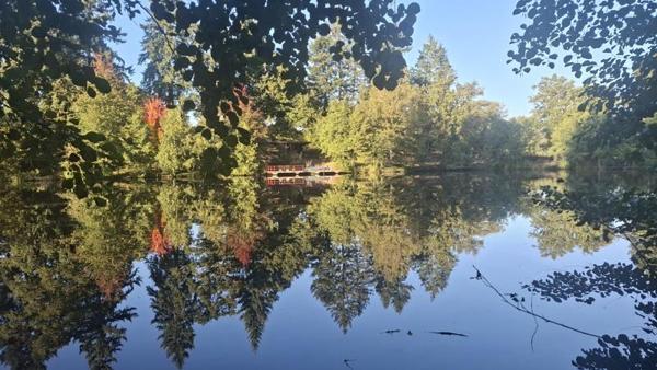 Terrain à vendre |  Saint-Priest-sous-Aixe |  23775 m²