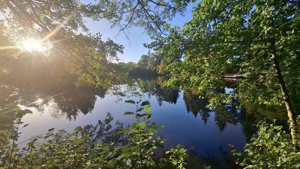 Terrain à vendre |  Saint-Priest-sous-Aixe |  23775 m²
