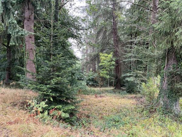 Terrain à vendre |  Saint-Priest-sous-Aixe |  23775 m²