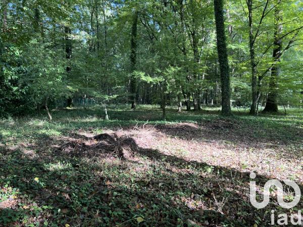 Terrain à vendre 3 185 m² Saint-Hilaire-les-Andrésis