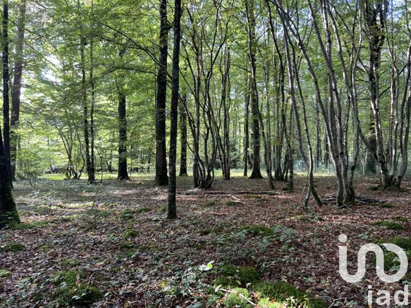Terrain à vendre 3 185 m² Saint-Hilaire-les-Andrésis