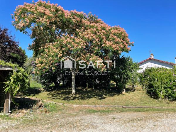 Baisse de prix !!!!!!