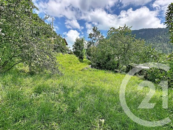 Maison à vendre  9 pièces - 334 m 2   MORZINE  - 74