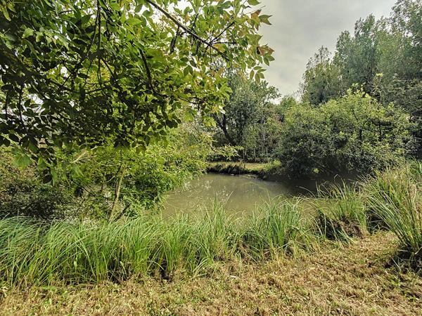 A vendre à Saujon, maison 6 pièces à vendre à Saujon d'une surfade de 147 m2 avec 4 belles chambres face à la nature.