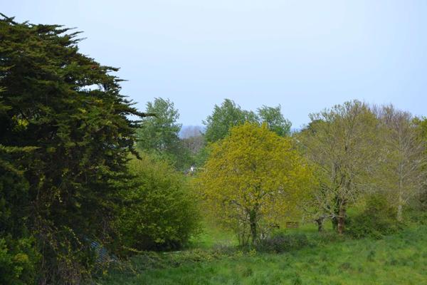 Plougasnou (29630) Plougasnou, entre le bourg et Terenez, maison bretonne en pierre, 4 ch sur 1900 m2 de terrain.