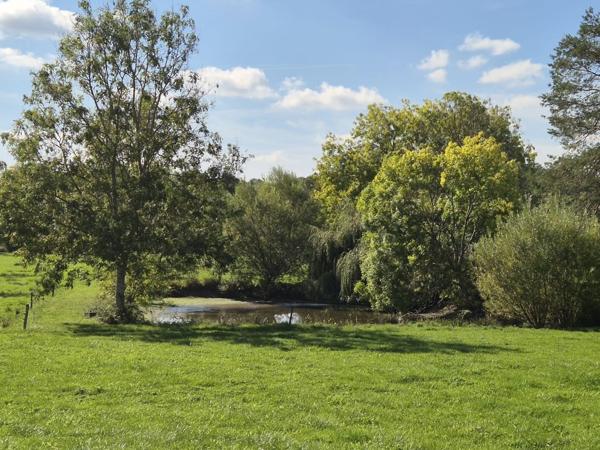 Maison 5 pièces - 136 m²