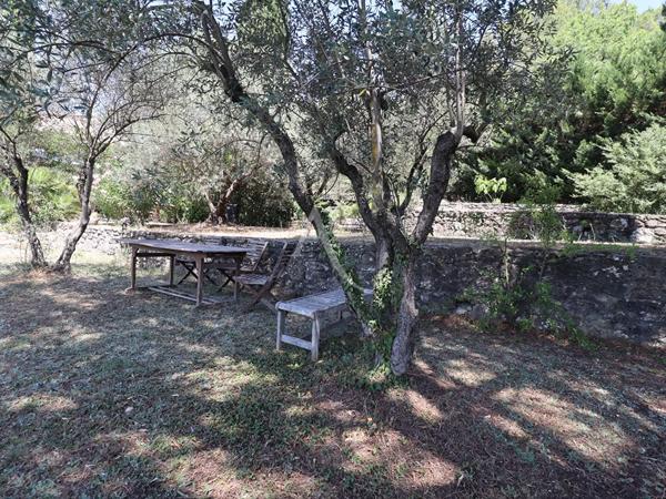 VILLA LUMINEUSE TYPE 5 AU CALME SUR 3612 M2 AVEC OLIVIERS PIERREVERT