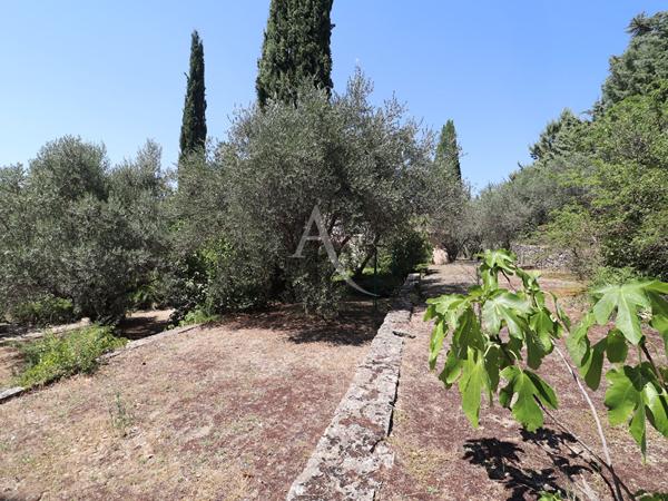 VILLA LUMINEUSE TYPE 5 AU CALME SUR 3612 M2 AVEC OLIVIERS PIERREVERT