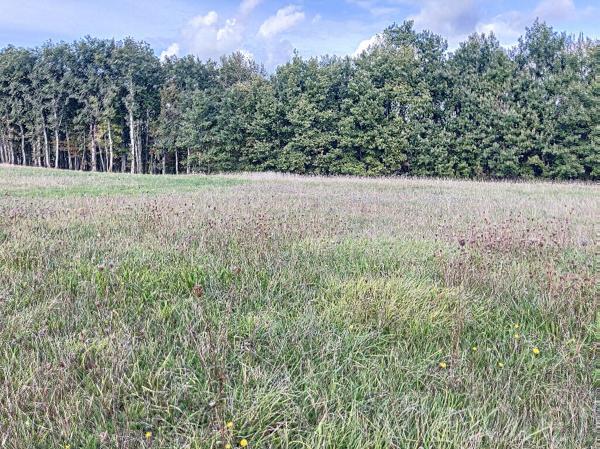 Achat terrain près de Monclar-de-Quercy - 860 m² - 56 000 €