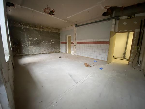 Loft Saint Etienne 190 m² + Garage / sous-sol de 110m²