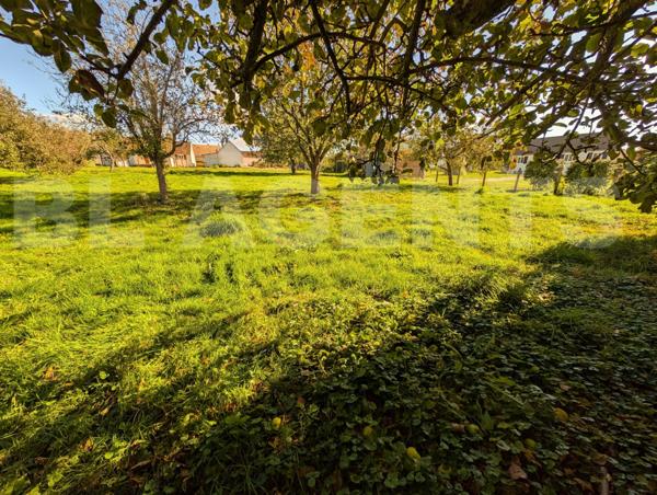 TRANGÉ - TERRAIN A BATIR 830 M²