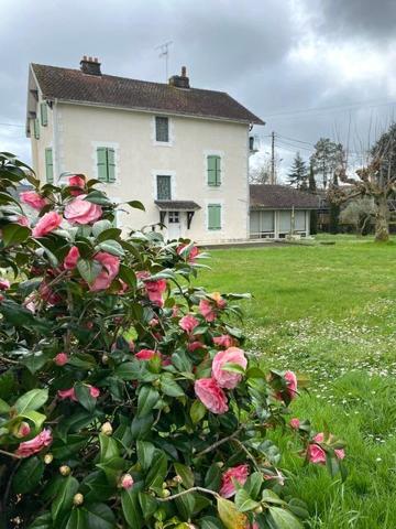 Vente / Maison bourgeoise