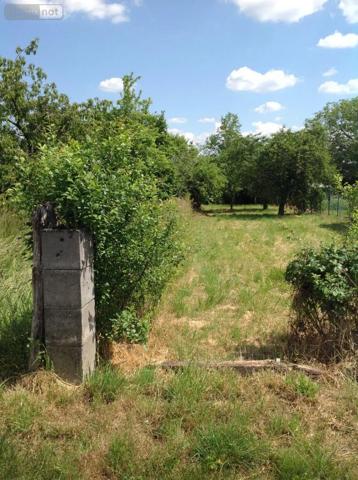Achat - Terrain à bâtir Chasseneuil 36800 1160 m 2