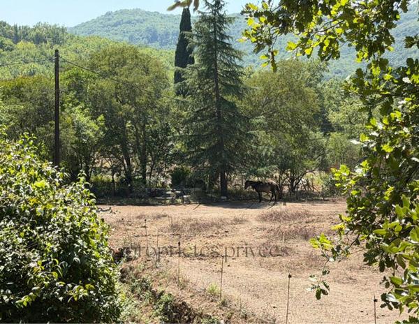MAS CÉVENOL EN PIERRE 4 CHAMBRES CROS  180 M² 5 500 M² DE TERRAIN ? VUE CÉVENNES