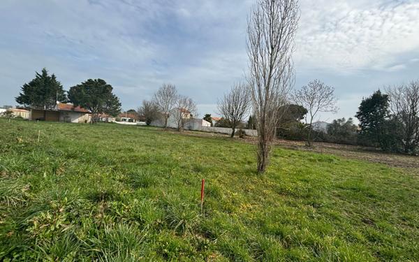 Terrain à vendre    Saint-Georges-d'Oléron