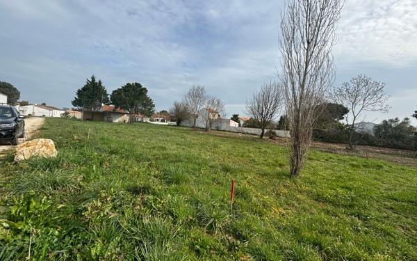 Terrain à vendre    Saint-Georges-d'Oléron