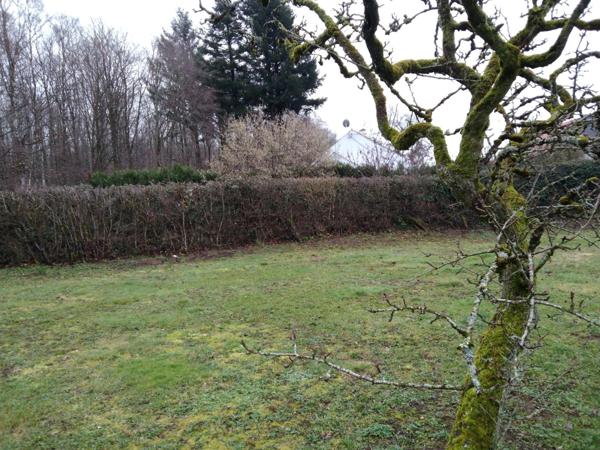 HANGAR +ECURIES +TERRAIN