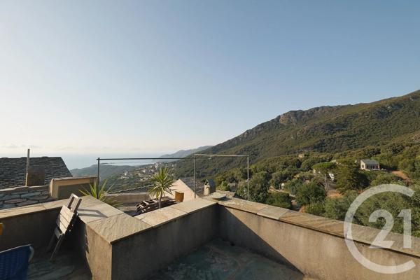 Maison à vendre  10 pièces - 528 m 2   SISCO  - 202