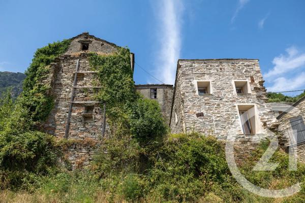Maison à vendre  10 pièces - 528 m 2   SISCO  - 202