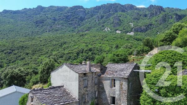 Maison à vendre  10 pièces - 528 m 2   SISCO  - 202