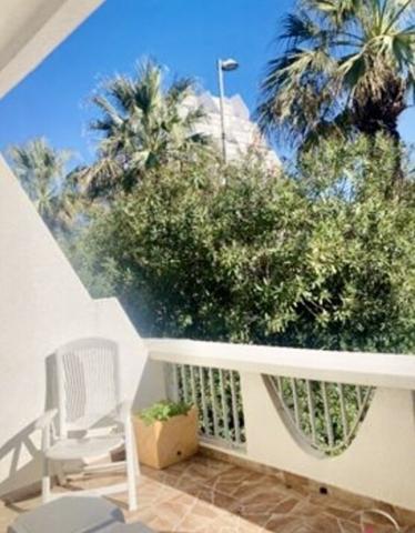 Appartement T3 Centre Ville