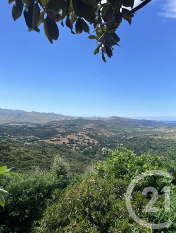 Terrain à vendre  285 m2 OLETTA - 202