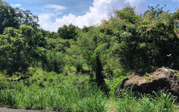 Terrain à vendre    Pointe-Noire
