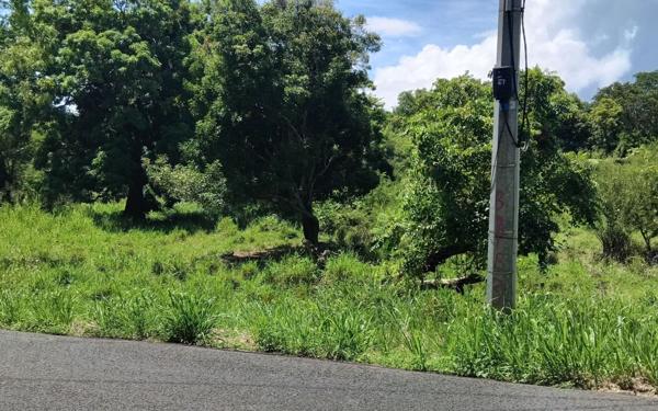 Terrain à vendre    Pointe-Noire