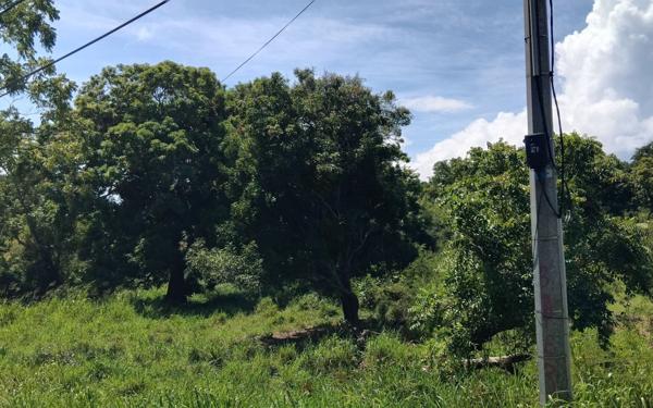 Terrain à vendre    Pointe-Noire