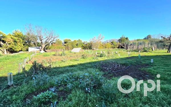 Maison à vendre    5 pièces •  Saint-Martin-de-Crau