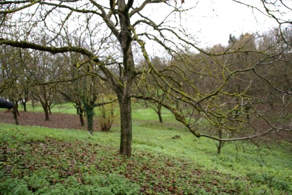 Grande propriété avec 2 maisons individuelles