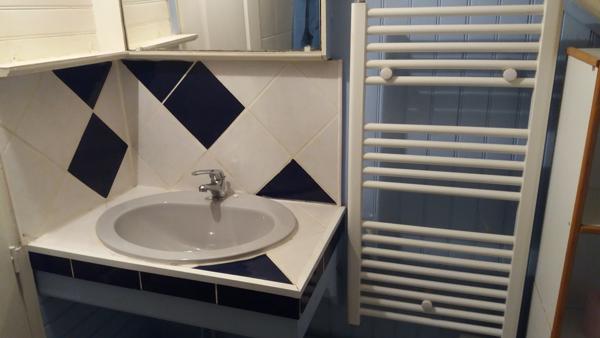 Location Maison60 m² - 3 Pièces - VILLEMANDEUR (45700)