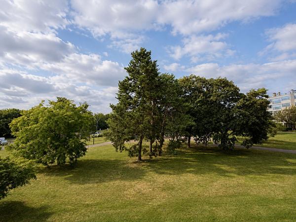Appartement Chennevières Sur Marne 2 pièces 43m²