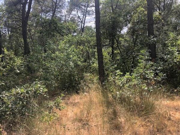 terrain de campagne  non constructible