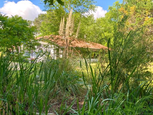 Maison d'architecte de 260M2 (DPE B) avec annexe dans un écrin de verdure avec piscine à 8 Kms de MONT DE MARSAN (40)