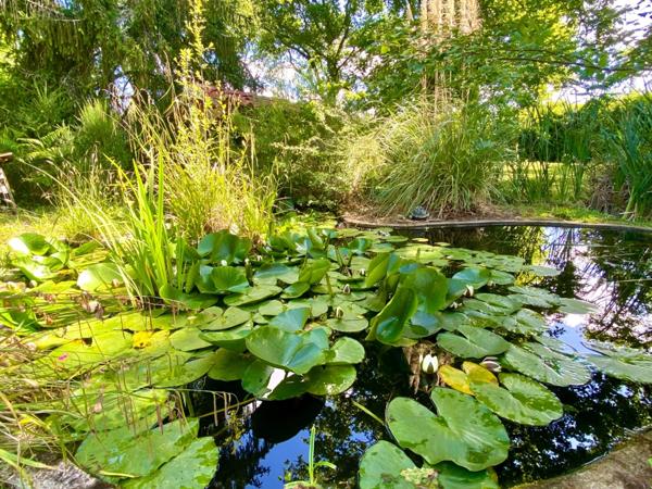 Maison d'architecte de 260M2 (DPE B) avec annexe dans un écrin de verdure avec piscine à 8 Kms de MONT DE MARSAN (40)