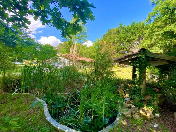 Maison d'architecte de 260M2 (DPE B) avec annexe dans un écrin de verdure avec piscine à 8 Kms de MONT DE MARSAN (40)