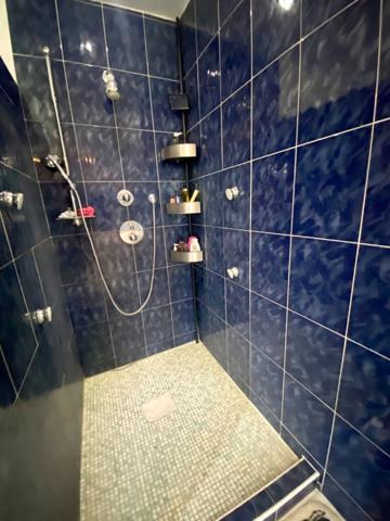 Maison d'architecte de 260M2 (DPE B) avec annexe dans un écrin de verdure avec piscine à 8 Kms de MONT DE MARSAN (40)