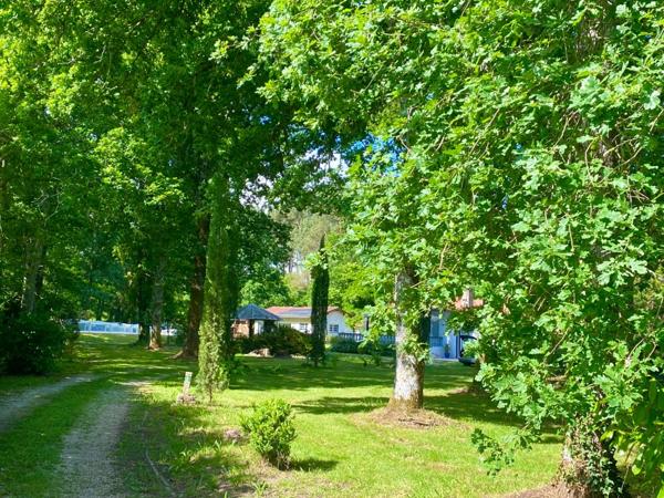 Maison d'architecte de 260M2 (DPE B) avec annexe dans un écrin de verdure avec piscine à 8 Kms de MONT DE MARSAN (40)