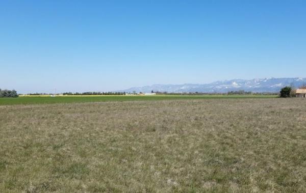 Vente Terrain Malissard   