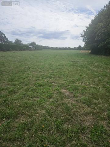 Achat - Terrain à bâtir Aibes 59149 10170 m 2