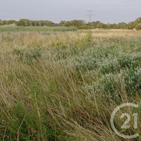 Terrain à vendre  5625 m2 ST LOUBES - 33