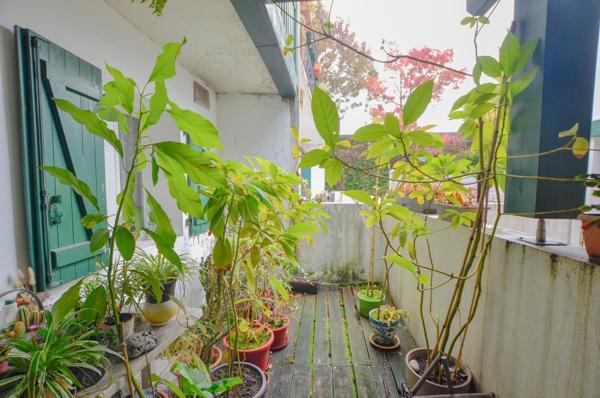 Appartement Ciboure 3 pièce(s) 57 m2