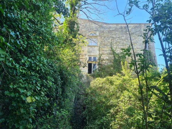 Château à vendre 6 pièces de 279 m²