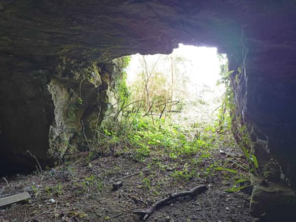 Château à vendre 6 pièces de 279 m²