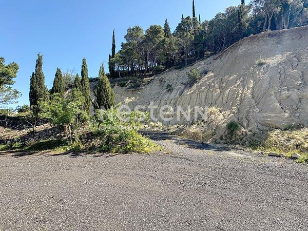 Charmante Maison de 178 m² + Local professionnel de 150 m² dans propriété avec terrain sur parcelle de 2566 m² à Portel-des-Corbières