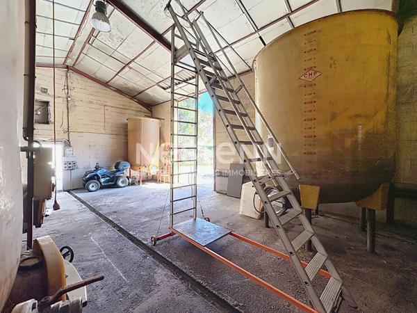 Charmante Maison de 178 m² + Local professionnel de 150 m² dans propriété avec terrain sur parcelle de 2566 m² à Portel-des-Corbières