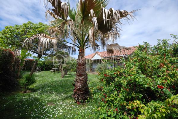 PORT DE LANNE  Très belle maison a ossature bois de grand standing de 75 m² sur terrain boisé de 850m²  , dans un quartier très calme  , A VISITER SOUS SEREZ SOUS LE CHARME  , grand séjour  ,cuisine équipée  , suite parentale , SDB, WC,     PRIX TRES INTERESSANT      visite    Jean Jacques LANDES  BSK IMMOBILIER
