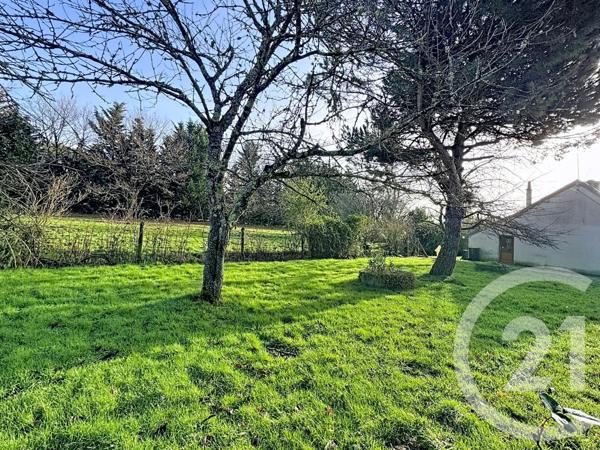 Maison à vendre  4 pièces - 78,73 m2 PRUNIERS EN SOLOGNE - 41