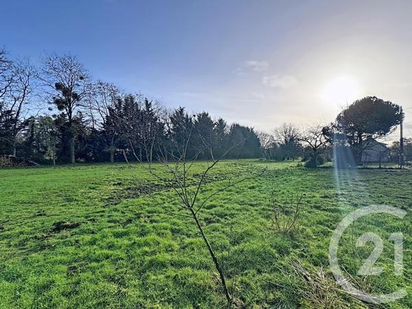 Maison à vendre  4 pièces - 78,73 m2 PRUNIERS EN SOLOGNE - 41